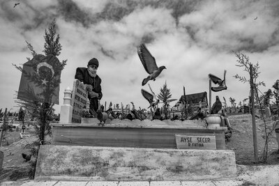 The Old Man And The Pigeons...