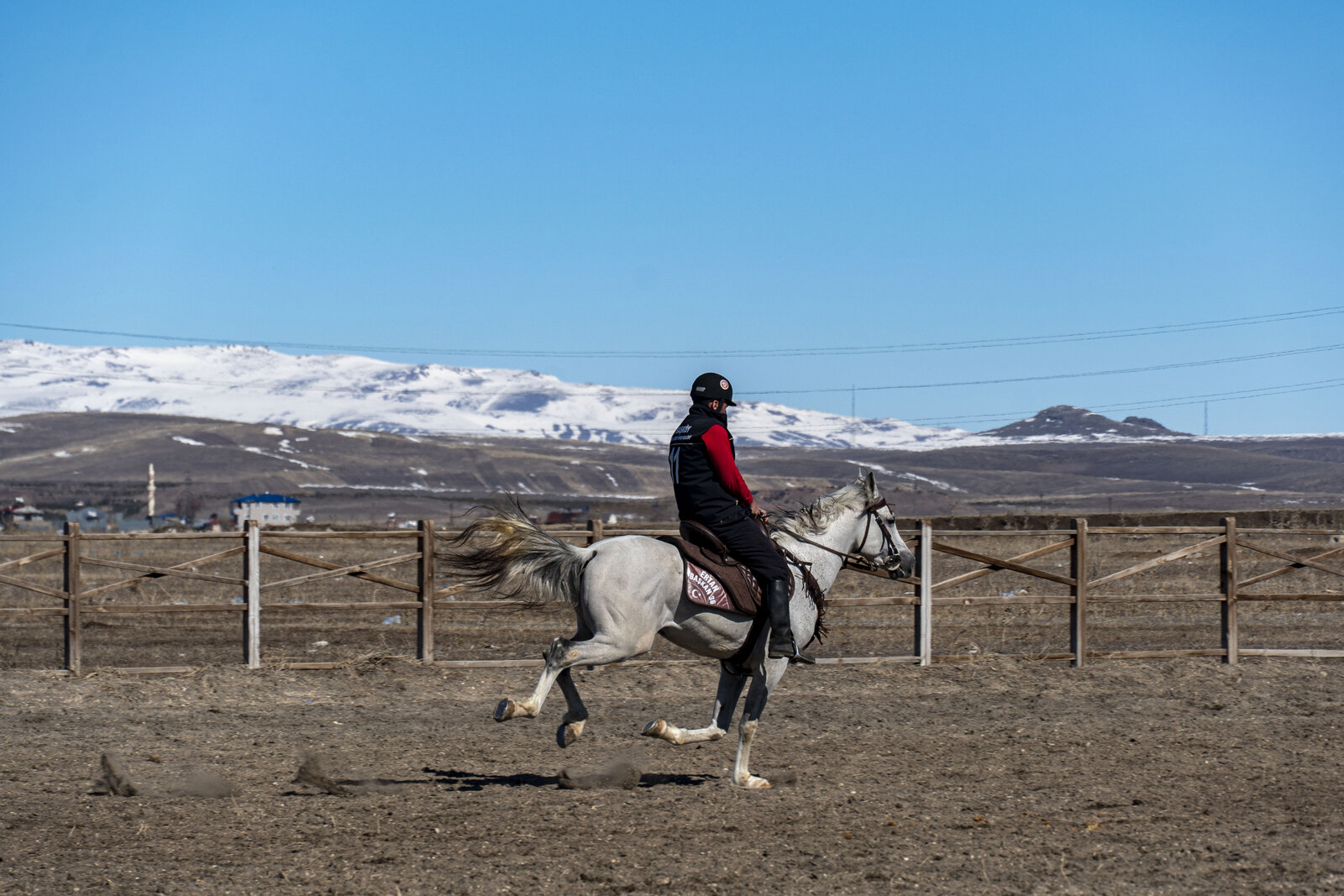 Caucasus Equestrian Club