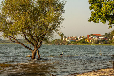 Gölyazı-2