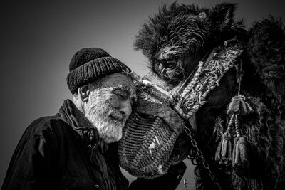 Nefes Nefese - Bergama Deve Güreşi