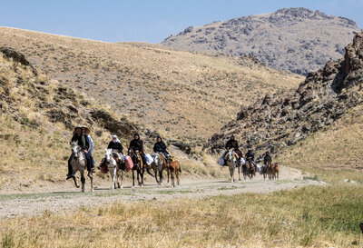 Yayla Yolcuları