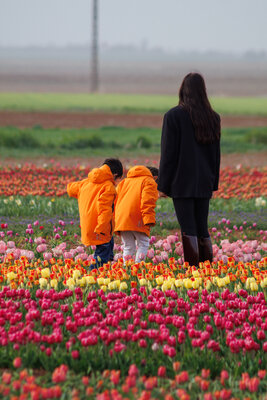Baharın Renkli İzinde