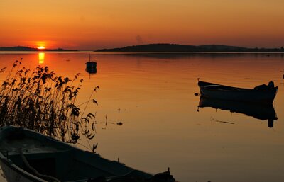 Gölyazı