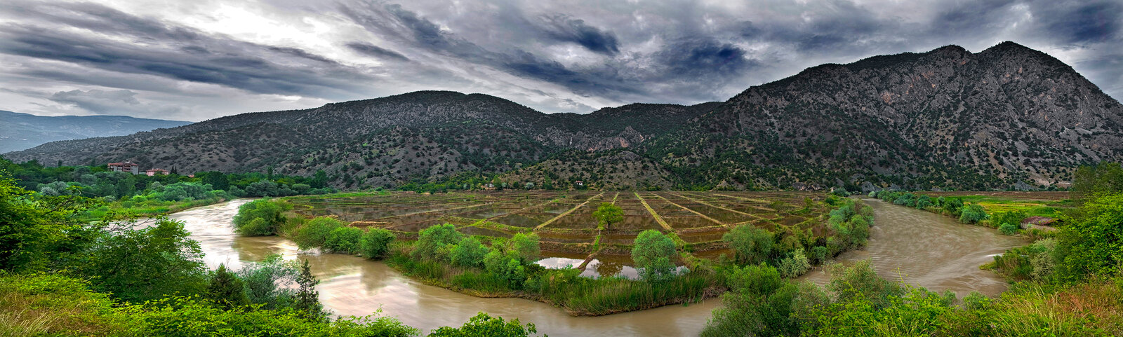 Osmancık Çeltik Tarlaları Panoramik