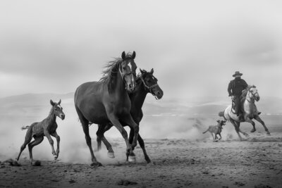 First_Run