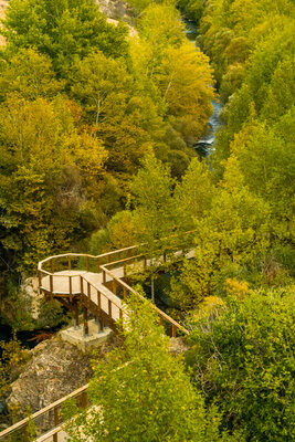Sonbaharda Sararan Yapraklar
