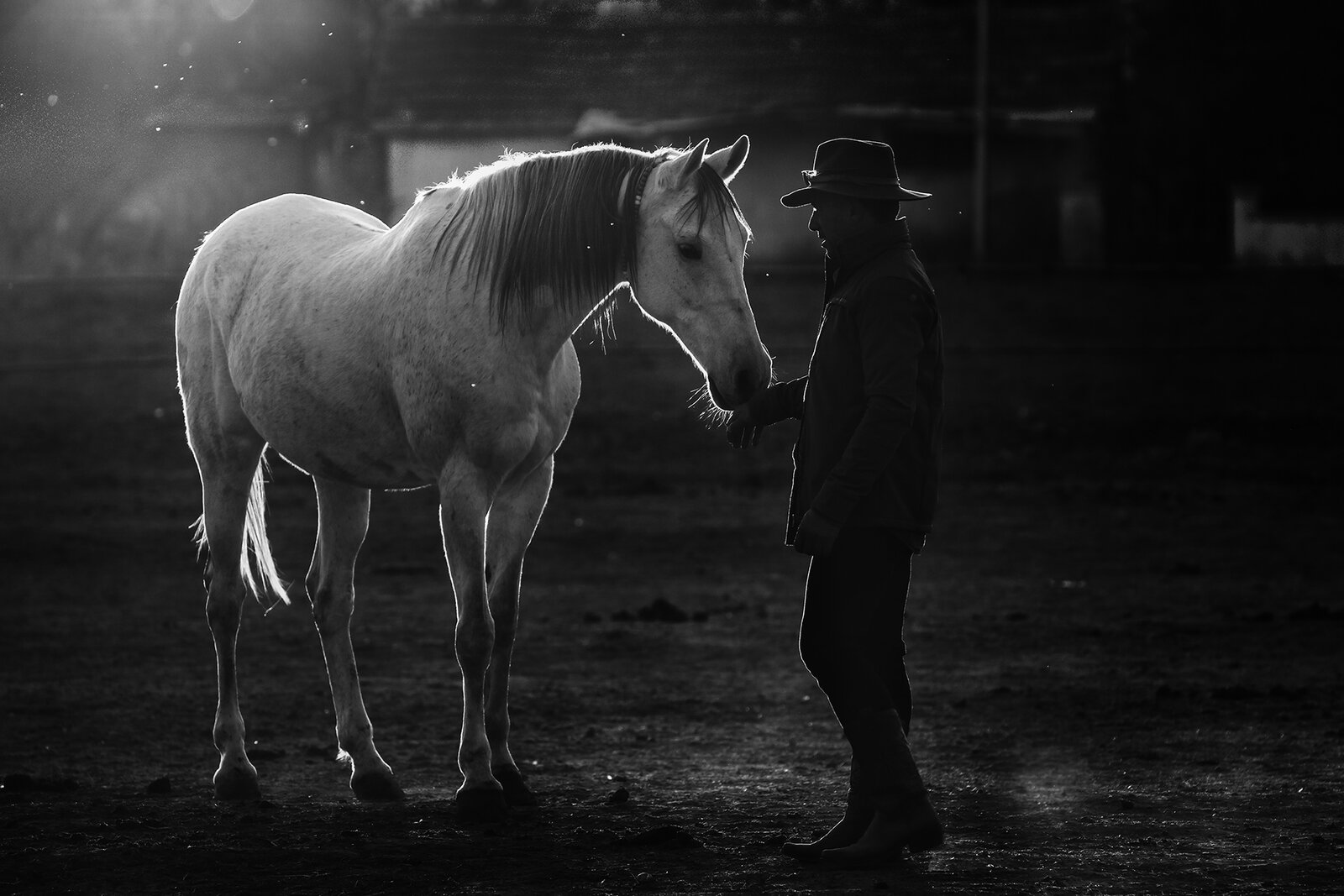 Atlar Diyarı Avanos