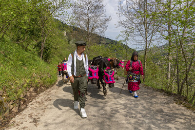 Yayla Göçü....