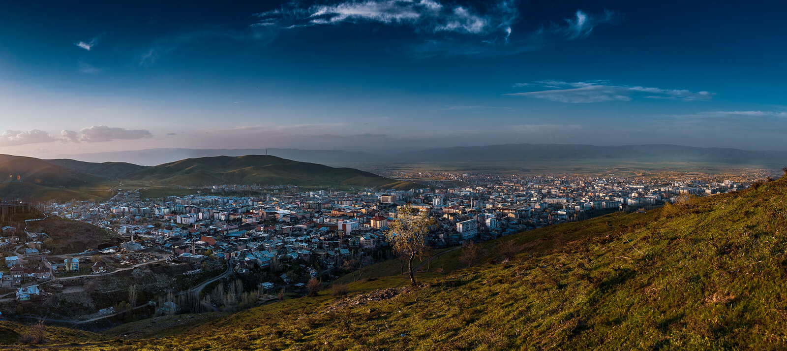 Muş Panoramik 1