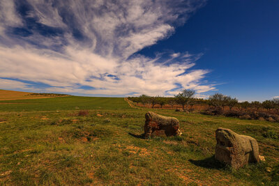 Darende Aslantaşlar
