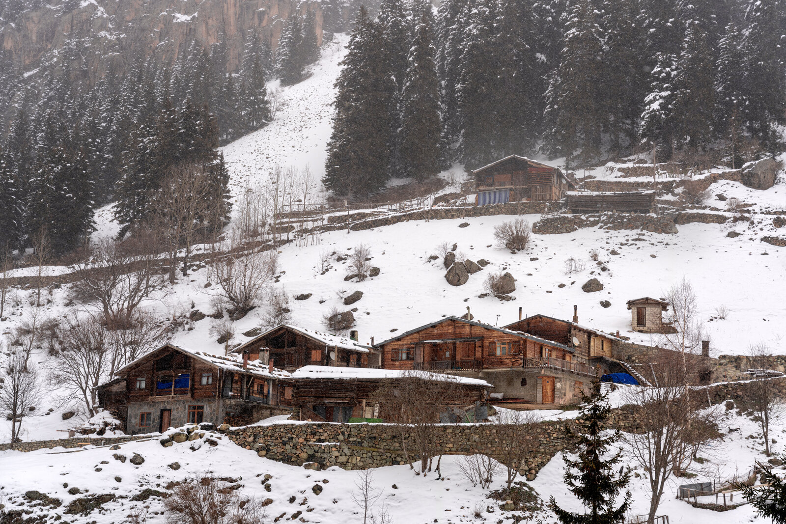 Trabzon Demirkapı Köyü