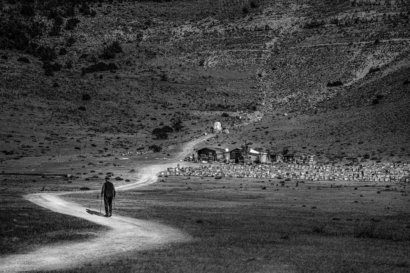 Uzun Yol